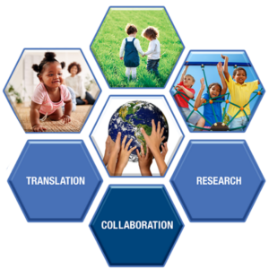 Picture of CEHRT Network